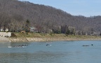 Men s Varsity 8 a